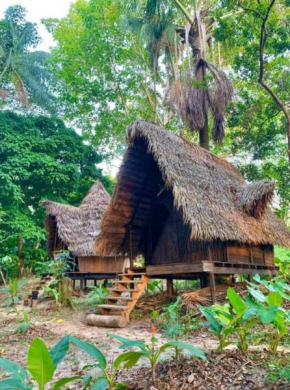 Satori - Amazonas ecolodge